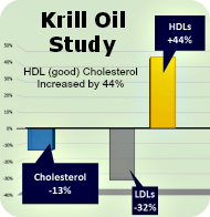 Krill Oil Study