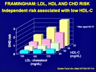 Framingham Study HDL Cholesterol and Heart Risk